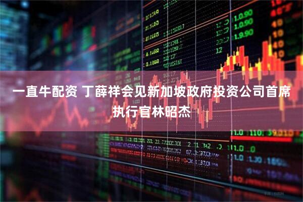 一直牛配资 丁薛祥会见新加坡政府投资公司首席执行官林昭杰