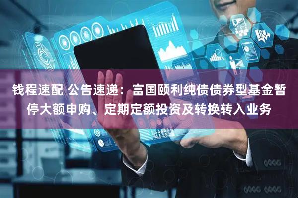 钱程速配 公告速递：富国颐利纯债债券型基金暂停大额申购、定期定额投资及转换转入业务