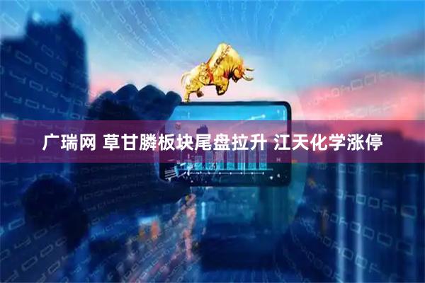 广瑞网 草甘膦板块尾盘拉升 江天化学涨停