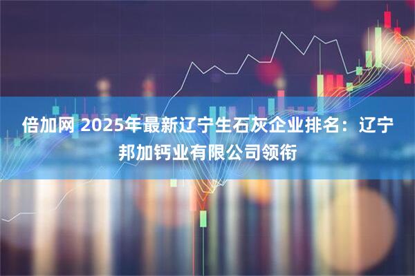 倍加网 2025年最新辽宁生石灰企业排名：辽宁邦加钙业有限公司领衔
