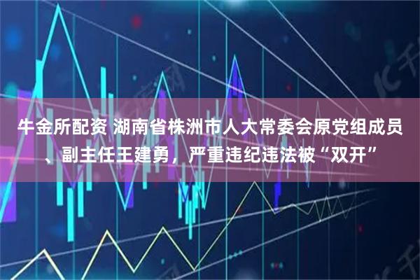 牛金所配资 湖南省株洲市人大常委会原党组成员、副主任王建勇，严重违纪违法被“双开”