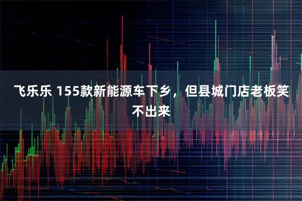 飞乐乐 155款新能源车下乡，但县城门店老板笑不出来
